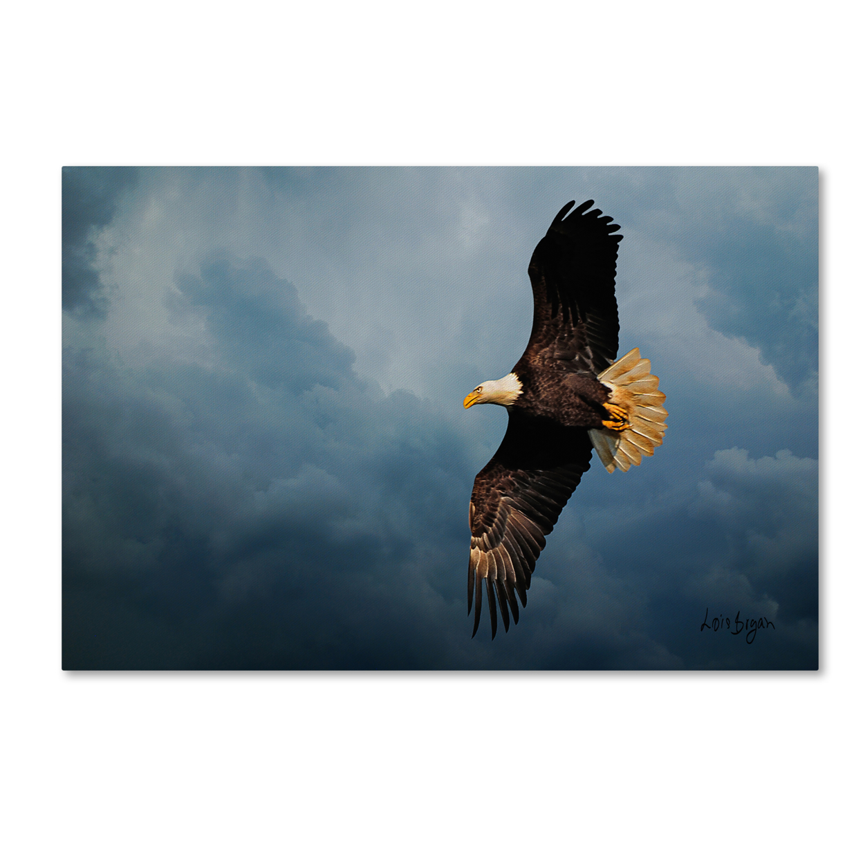 Lois Bryan 'Eagle In The Sky' Canvas Art 16 X 24