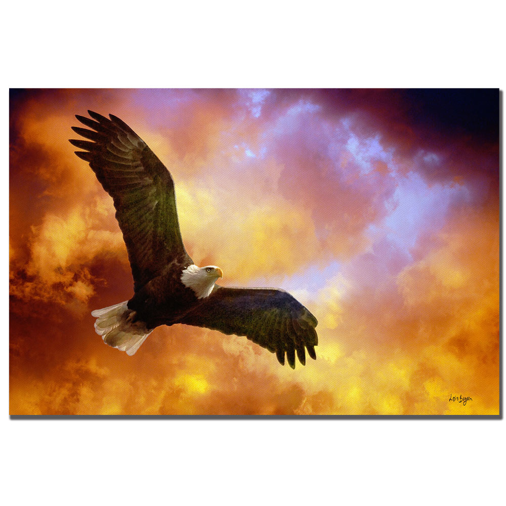 Lois Bryan 'Flight Of The Eagle' Canvas Art 16 X 24