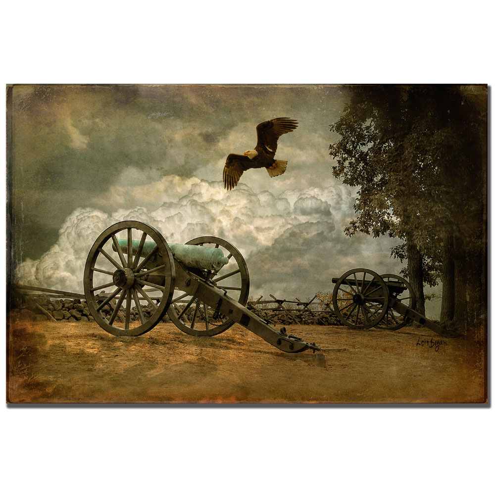 Lois Bryan 'Gettysburg' Canvas Art 16 X 24