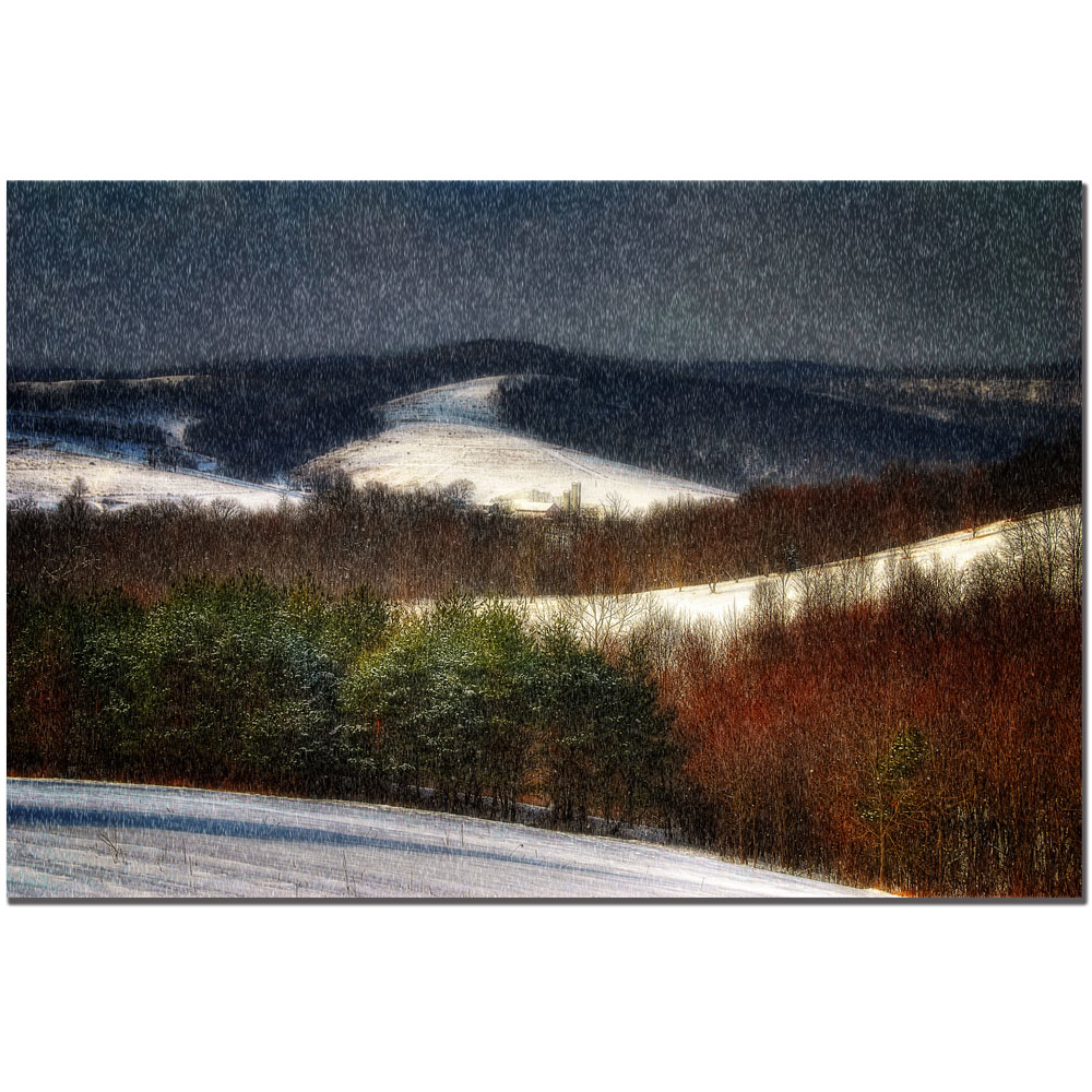 Lois Bryan 'Mountain Snow Storm' Canvas Art 16 X 24