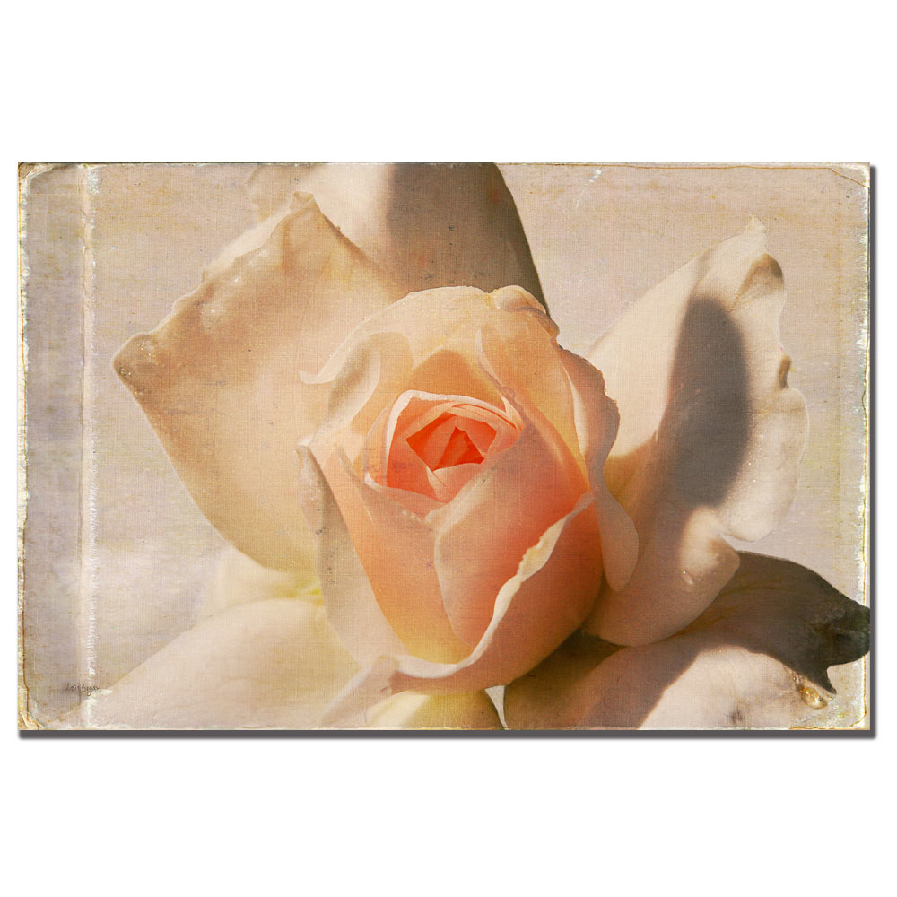 Lois Bryan 'Textured White Rose' Canvas Art 16 X 24