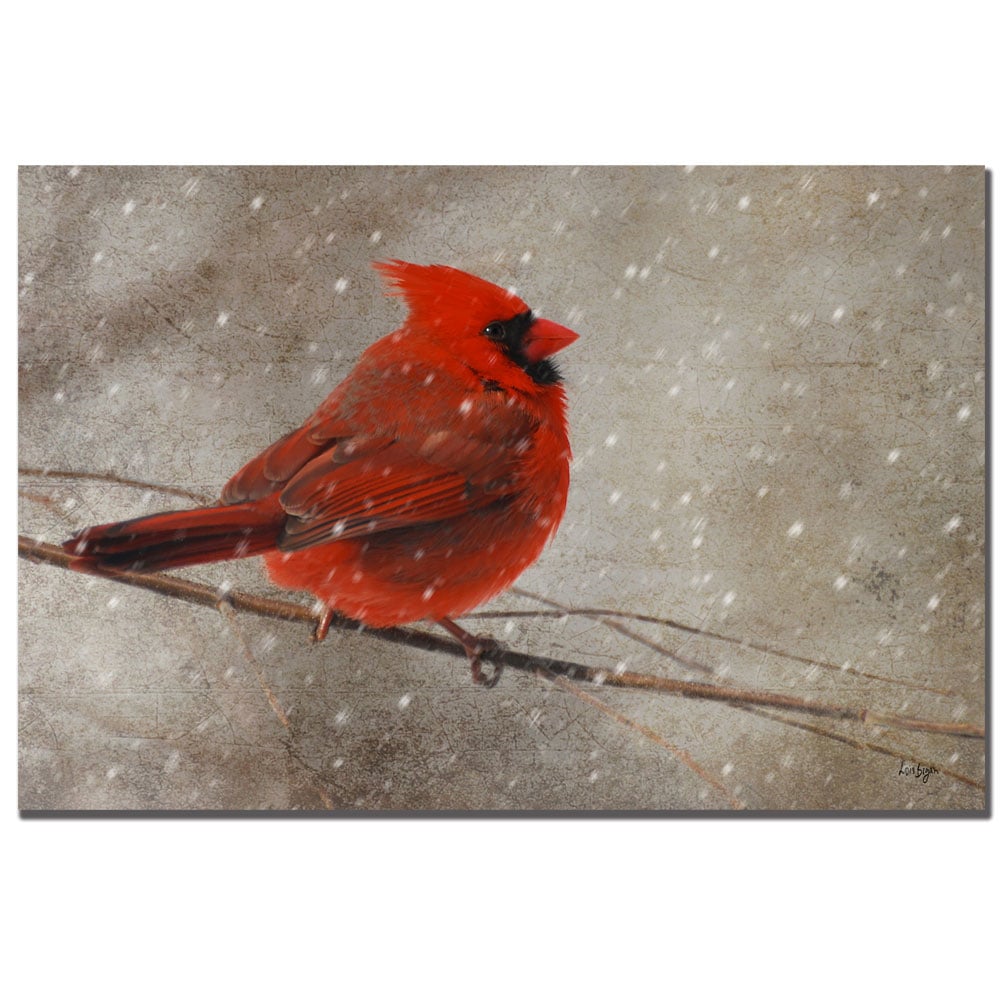 Lois Bryan 'Cardinal In Winter' Canvas Art 16 X 24