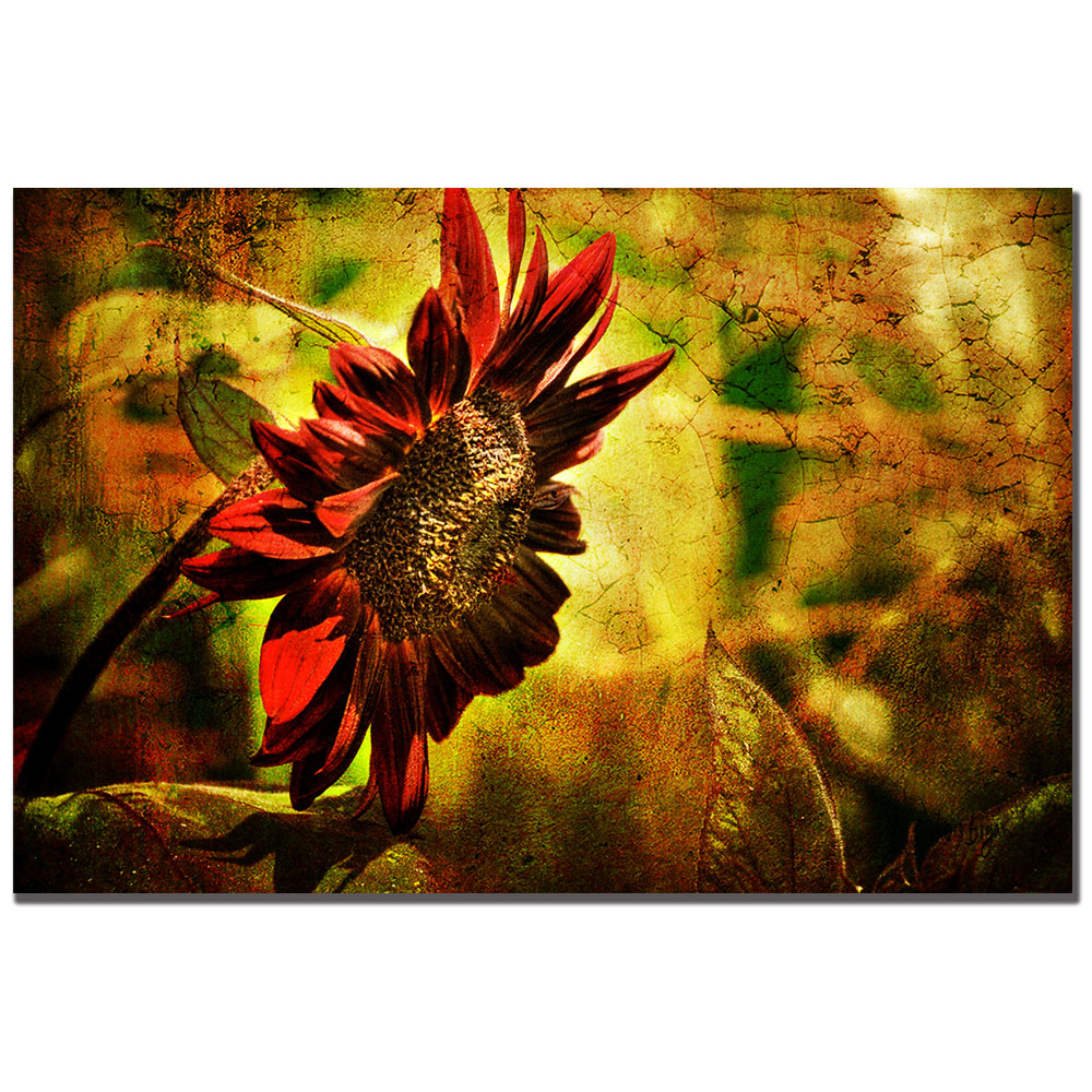 Lois Bryan 'Sunflower' Canvas Art 16 X 24