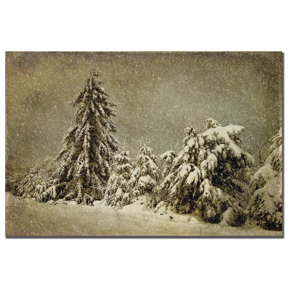 Lois Bryan 'Winter's Wrath With Snow' Canvas Art 16 X 24