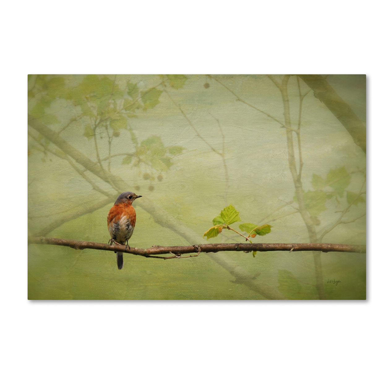 Lois Bryan 'Bluebird In Spring' Canvas Art 16 X 24