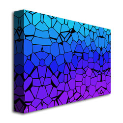 Crystals Of Blue And Purple' Canvas Art 16 X 24