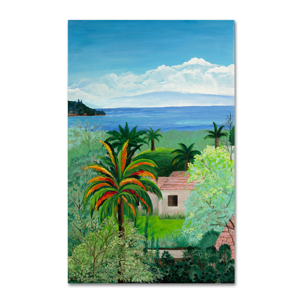 Costa Rican Beach' Canvas Art 16 X 24