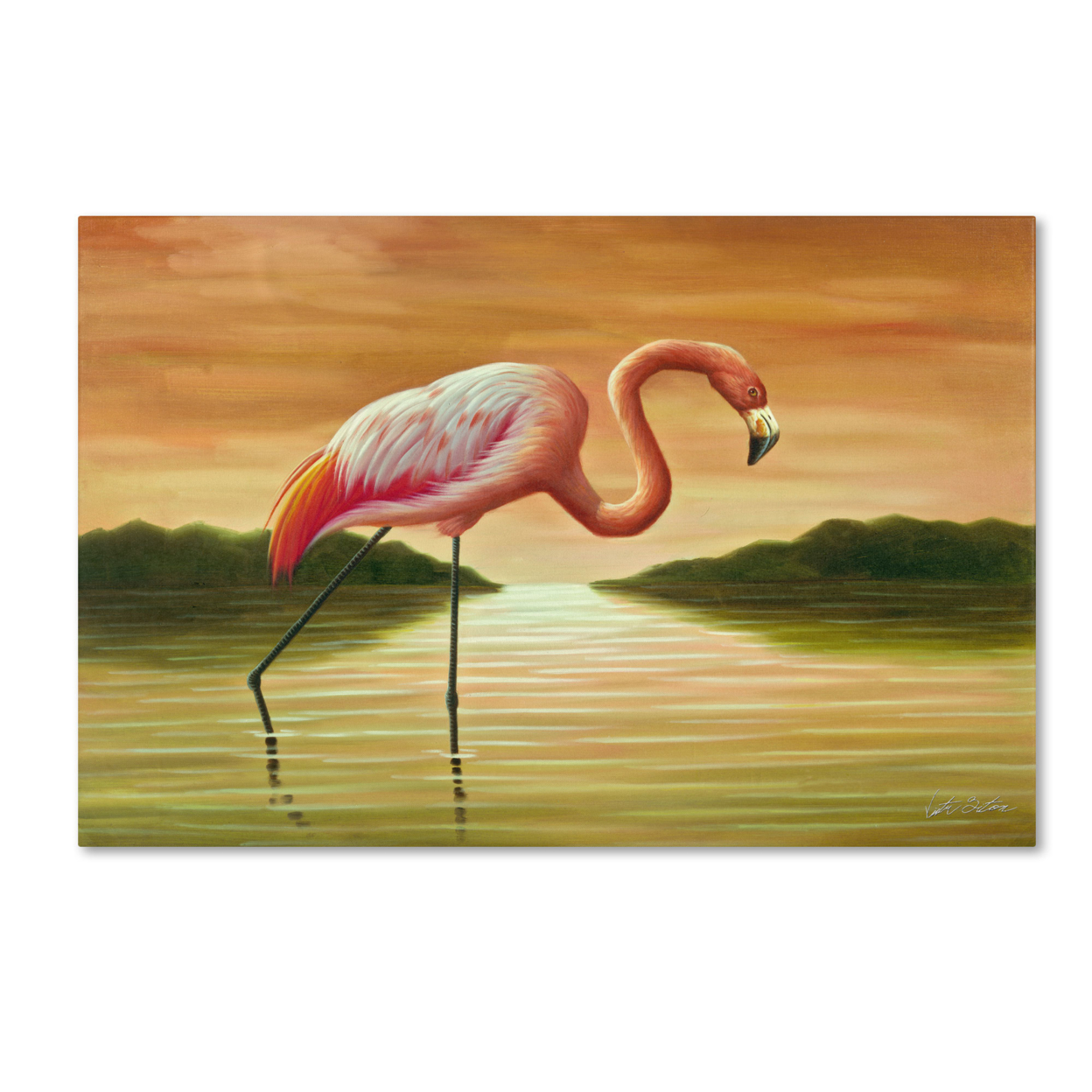 Victor Giton 'Pink Flamingo' Canvas Art 16 X 24