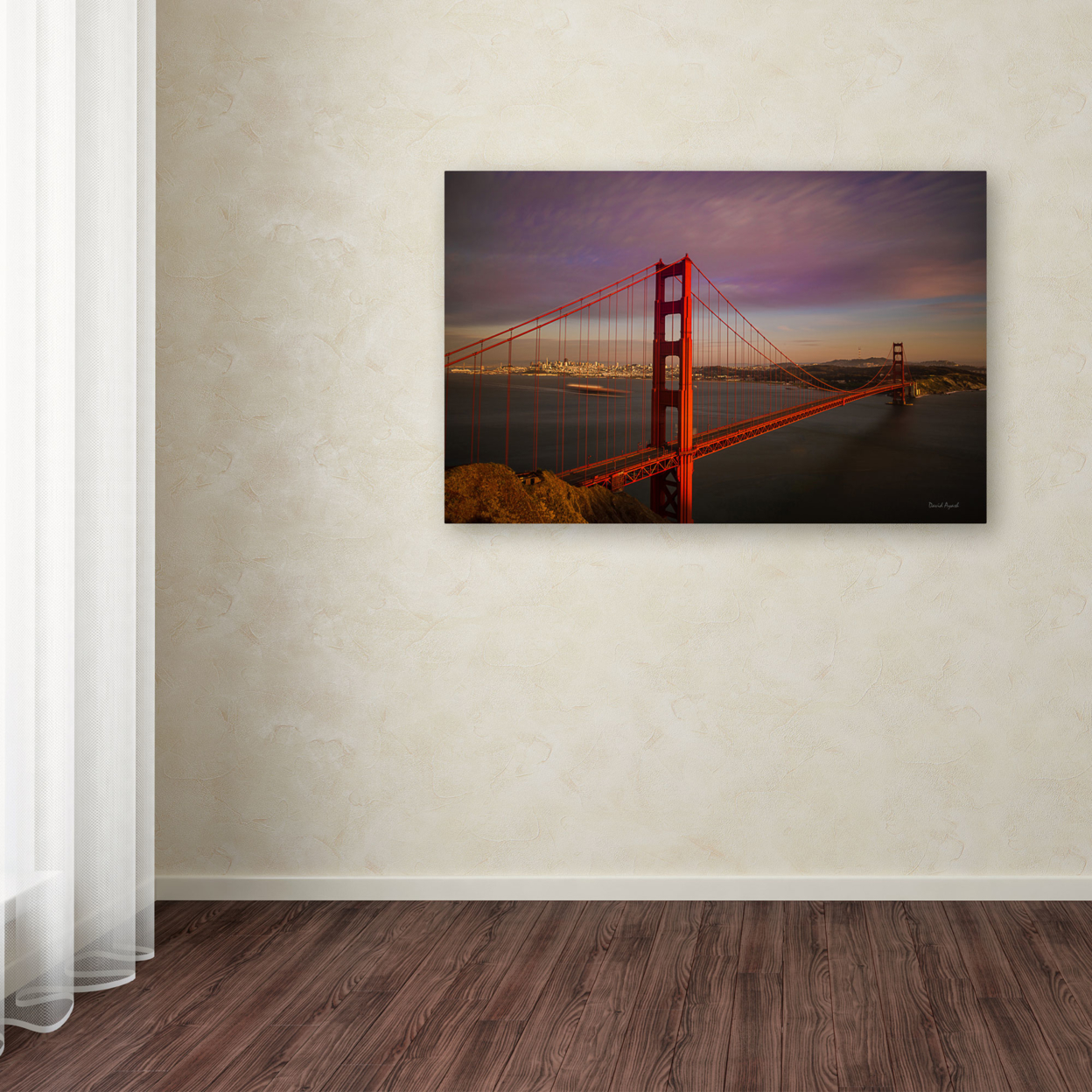 David Ayash 'Golden Gate Bridge' Canvas Art 16 X 24