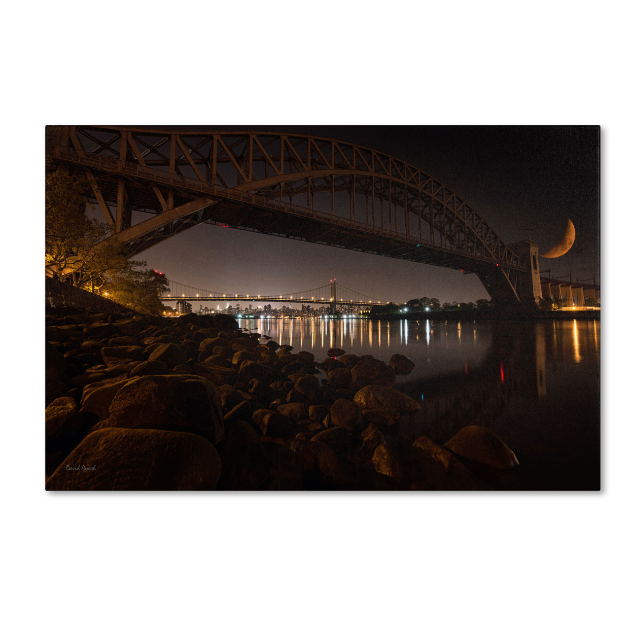 David Ayash 'Hells Gate And RFK Bridge - NYC' Canvas Art 16 X 24