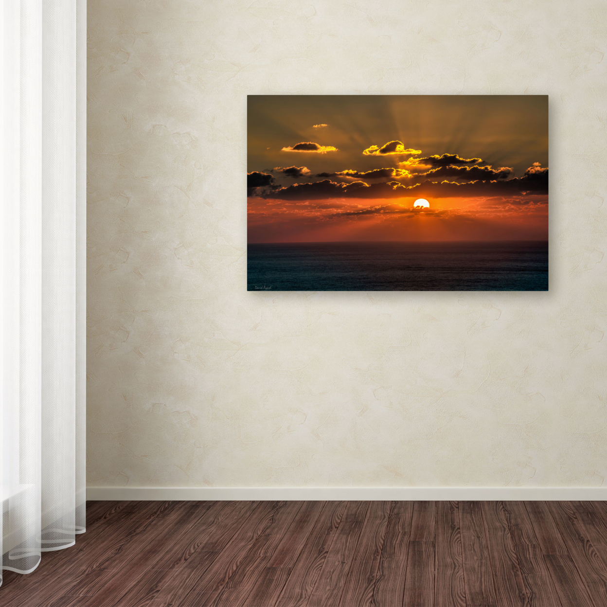 David Ayash 'Mediterranean Sunset' Canvas Art 16 X 24