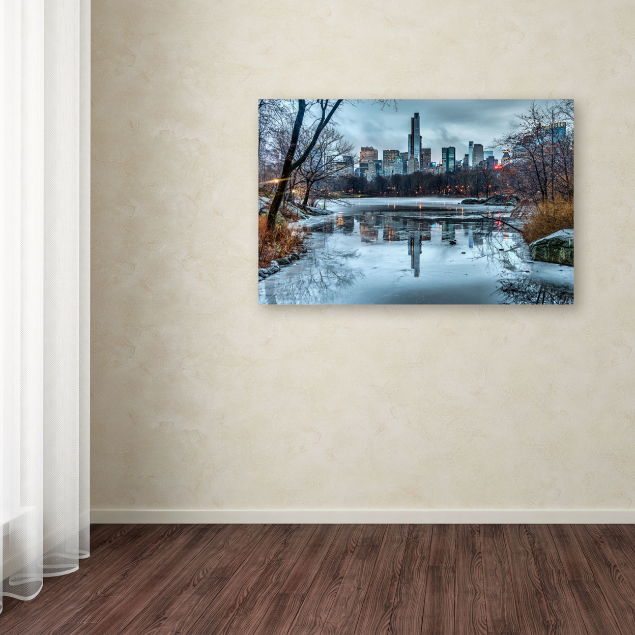 David Ayash 'Frozen Central Park Lake I' Canvas Art 16 X 24