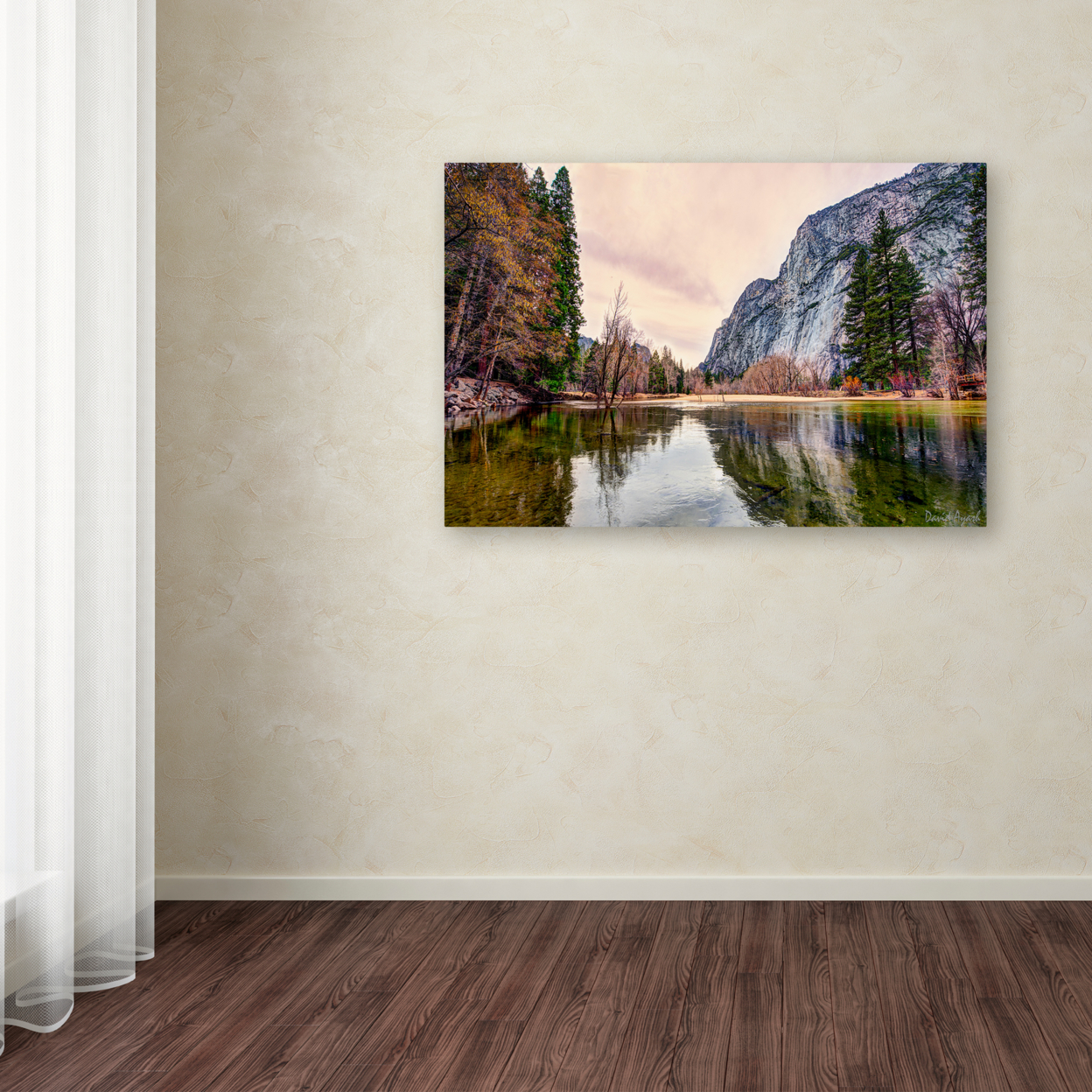 David Ayash 'Yosemite Valley' Canvas Art 16 X 24