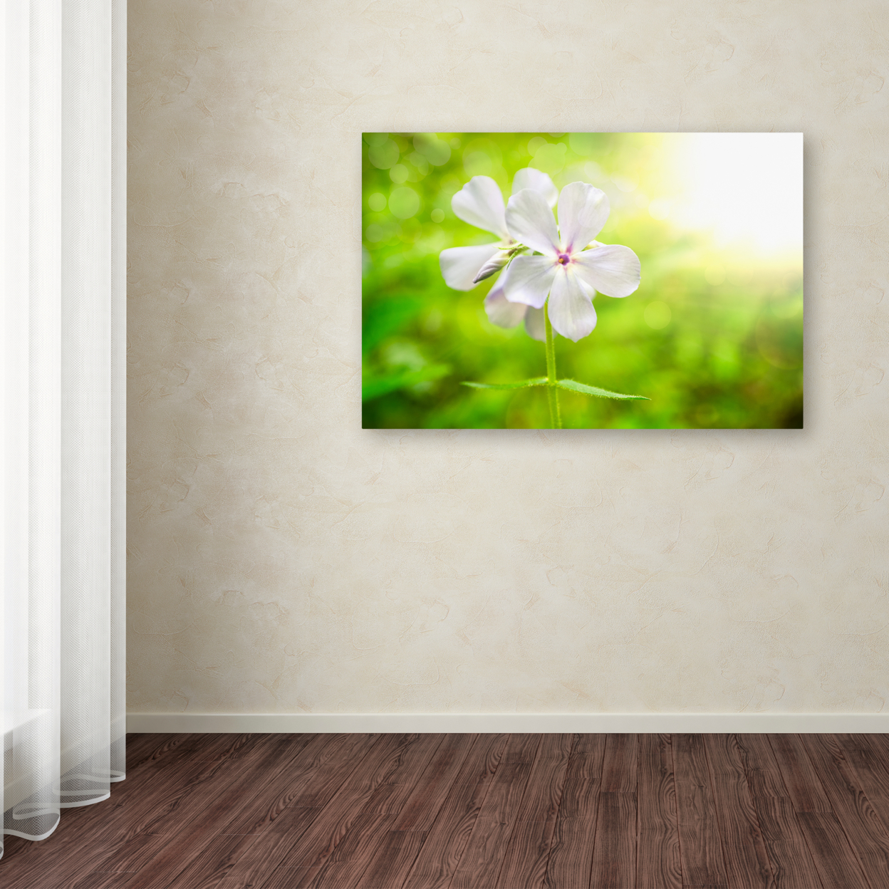 PIPA Fine Art 'Beauty Of The Forest Floor' Canvas Art 16 X 24