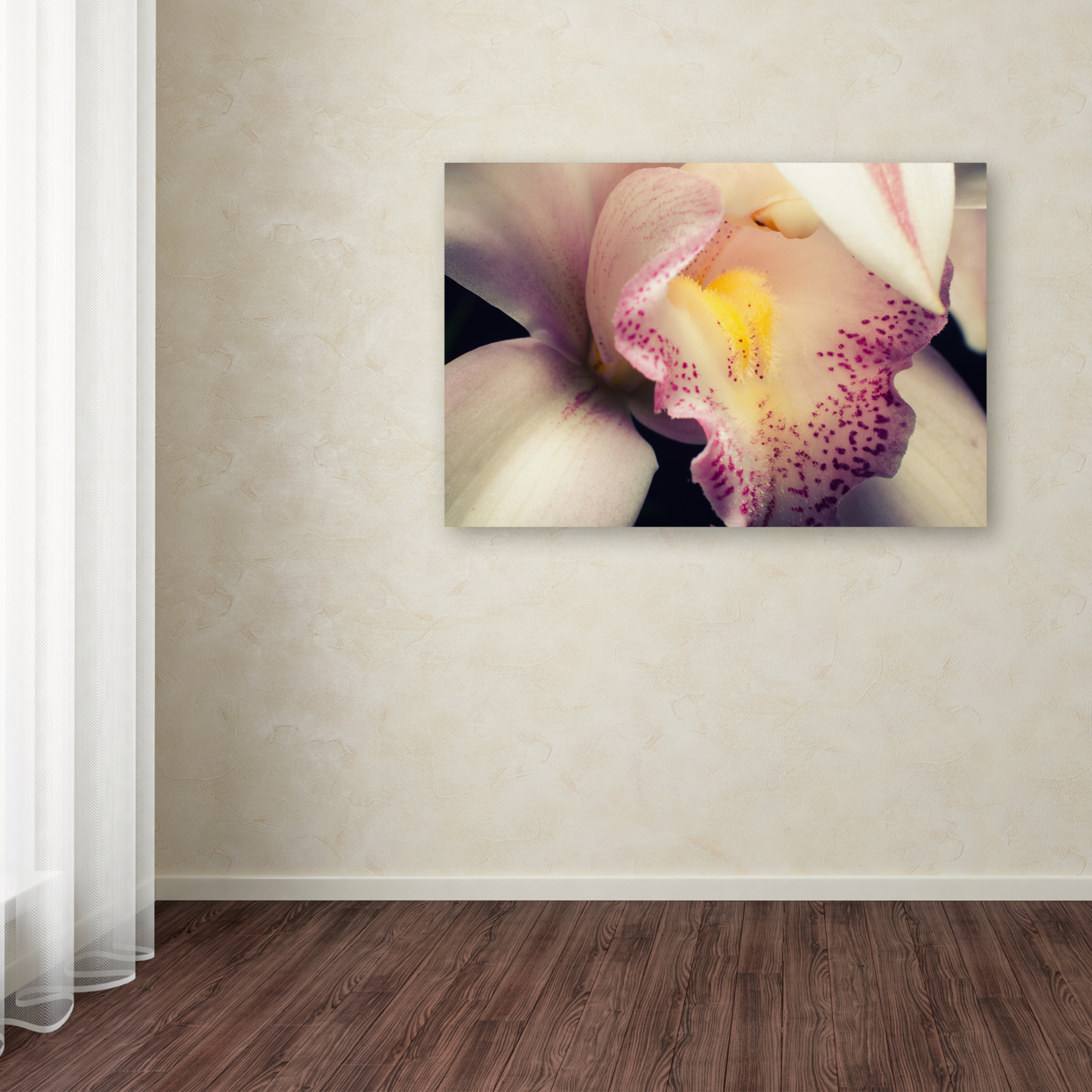 PIPA Fine Art 'Close-Up Of Orchid' Canvas Art 16 X 24