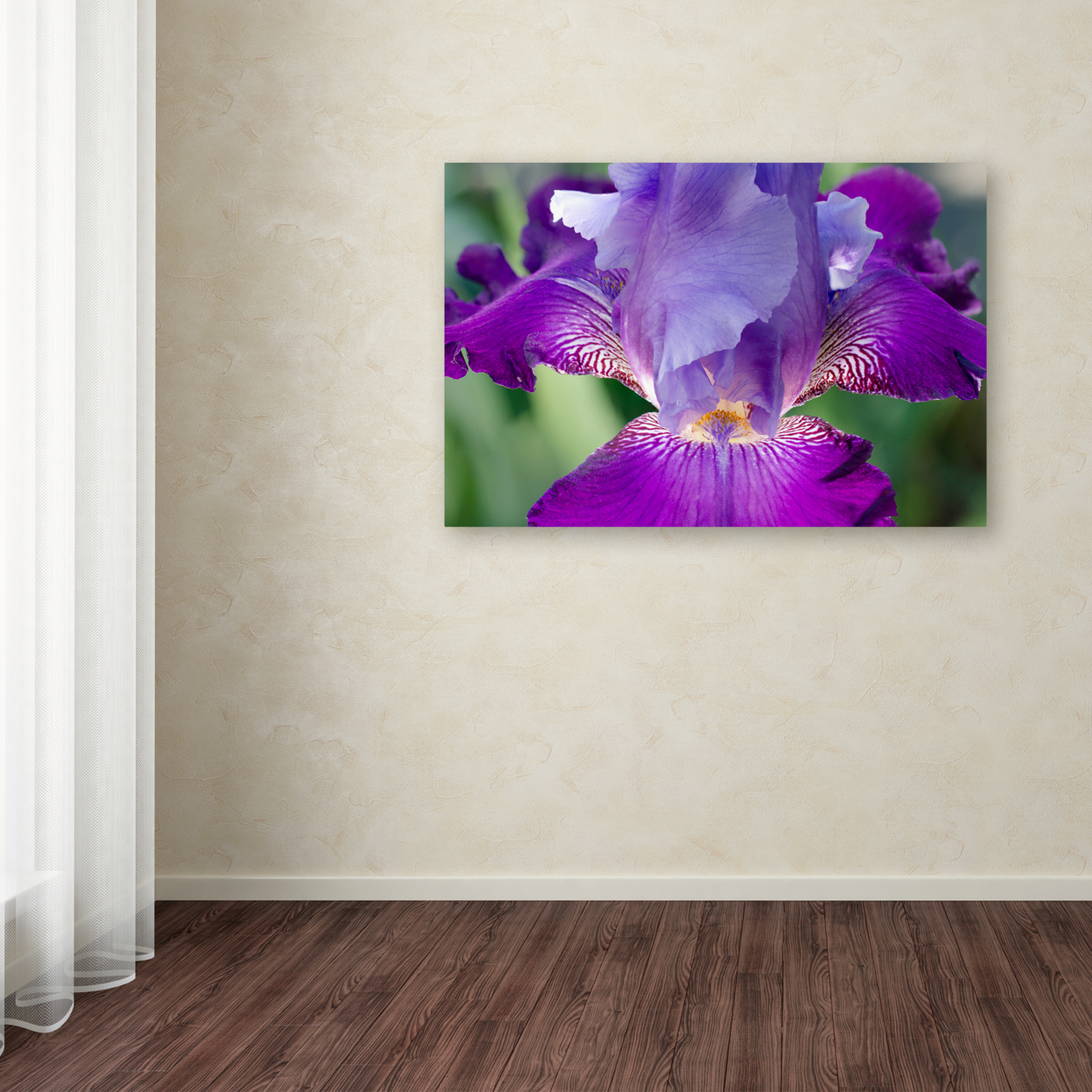 PIPA Fine Art 'Glowing Iris' Canvas Art 16 X 24