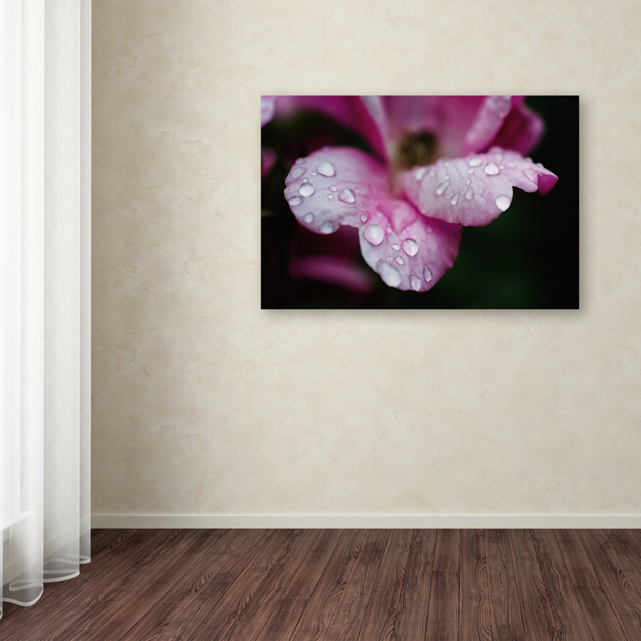 PIPA Fine Art 'Raindrops On Wild Rose Color' Canvas Art 16 X 24
