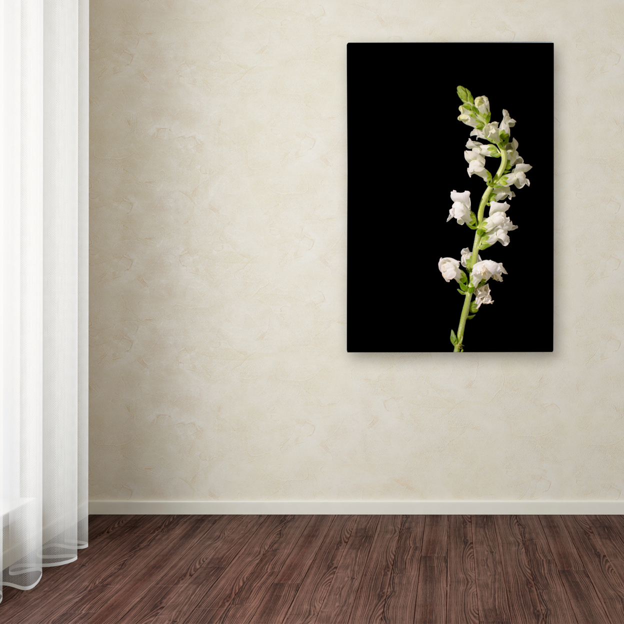 PIPA Fine Art 'White Snapdragons Against Black Background' Canvas Art 16 X 24