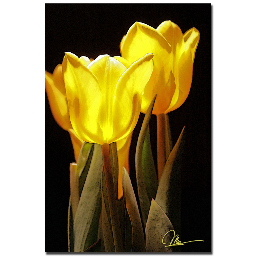 Martha Guerra, 'Yellow Tulips II' Canvas Art 16 X 24
