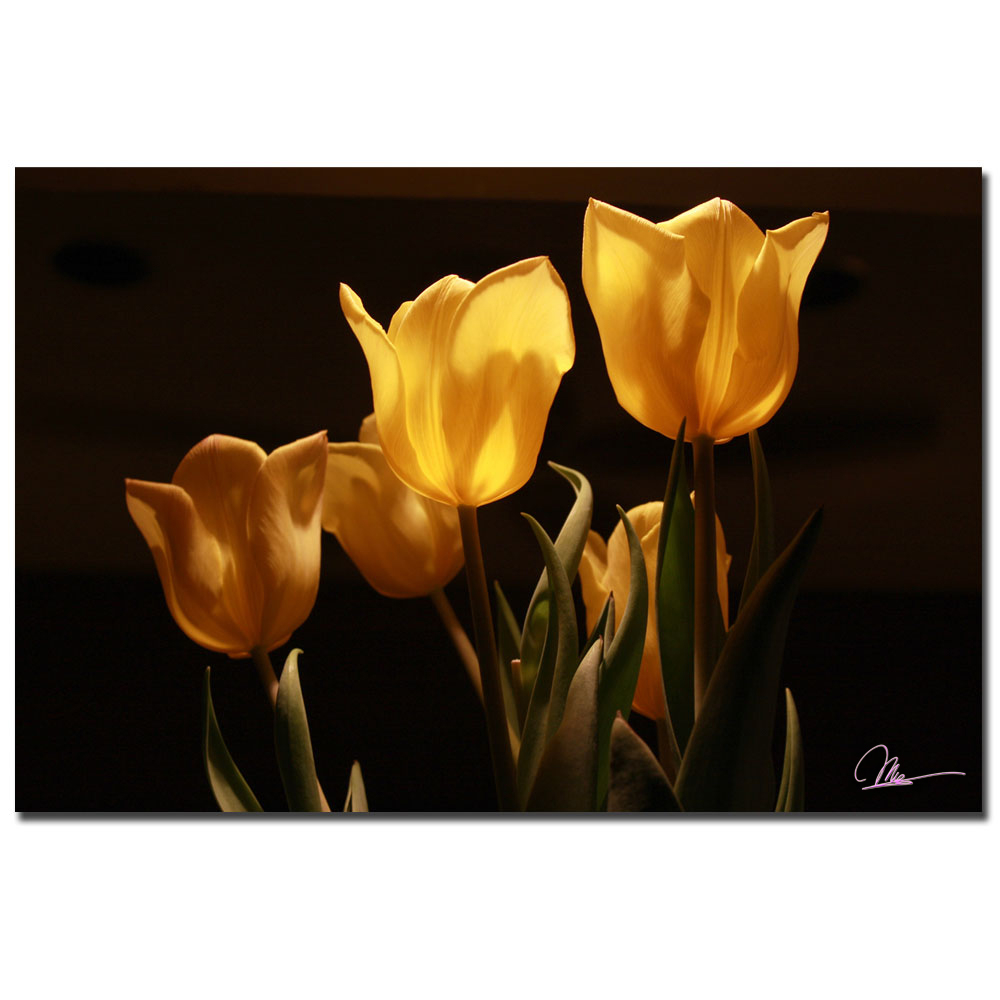 Martha Guerra, 'Yellow Tulips VIII' Canvas Art 16 X 24