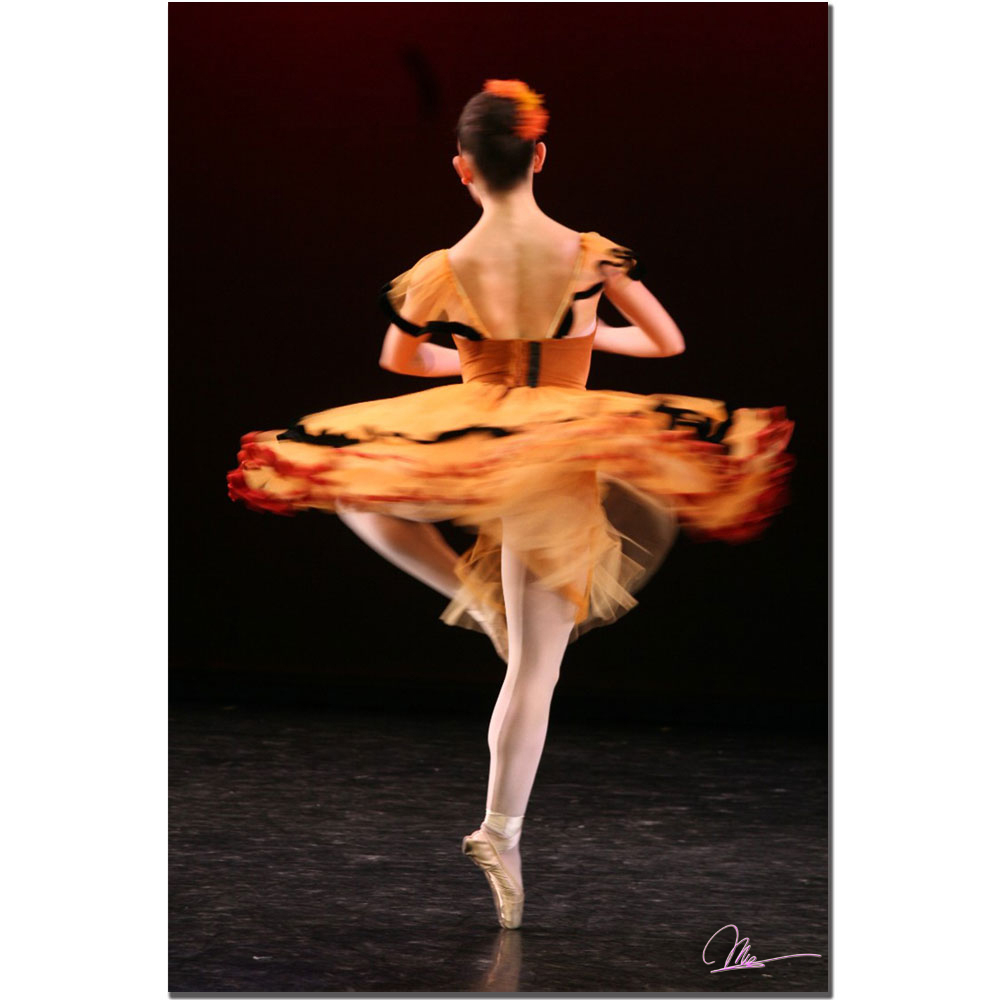 Twirling Ballerina By Martha Gueraa 16x24 Canvas Art 16 X 24