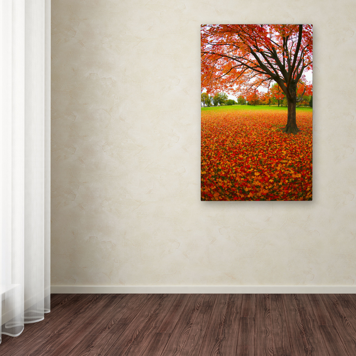 CATeyes 'Autumn Expressions' Canvas Art 16 X 24