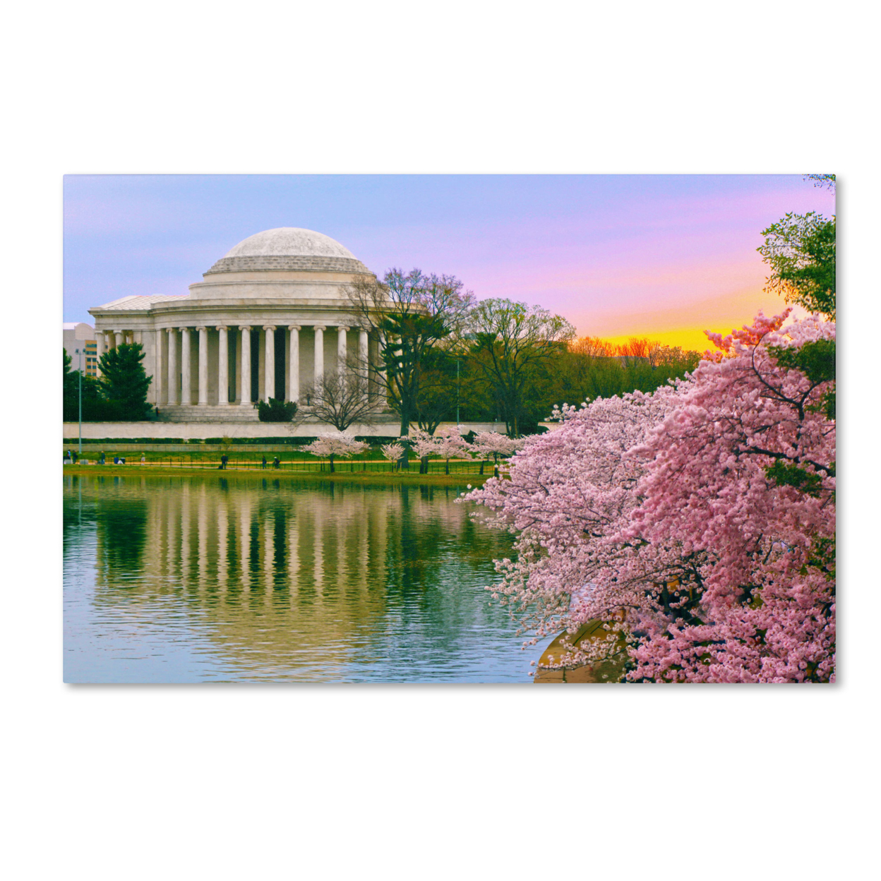 CATeyes 'Cherry Blossoms 2014-6' Canvas Art 16 X 24