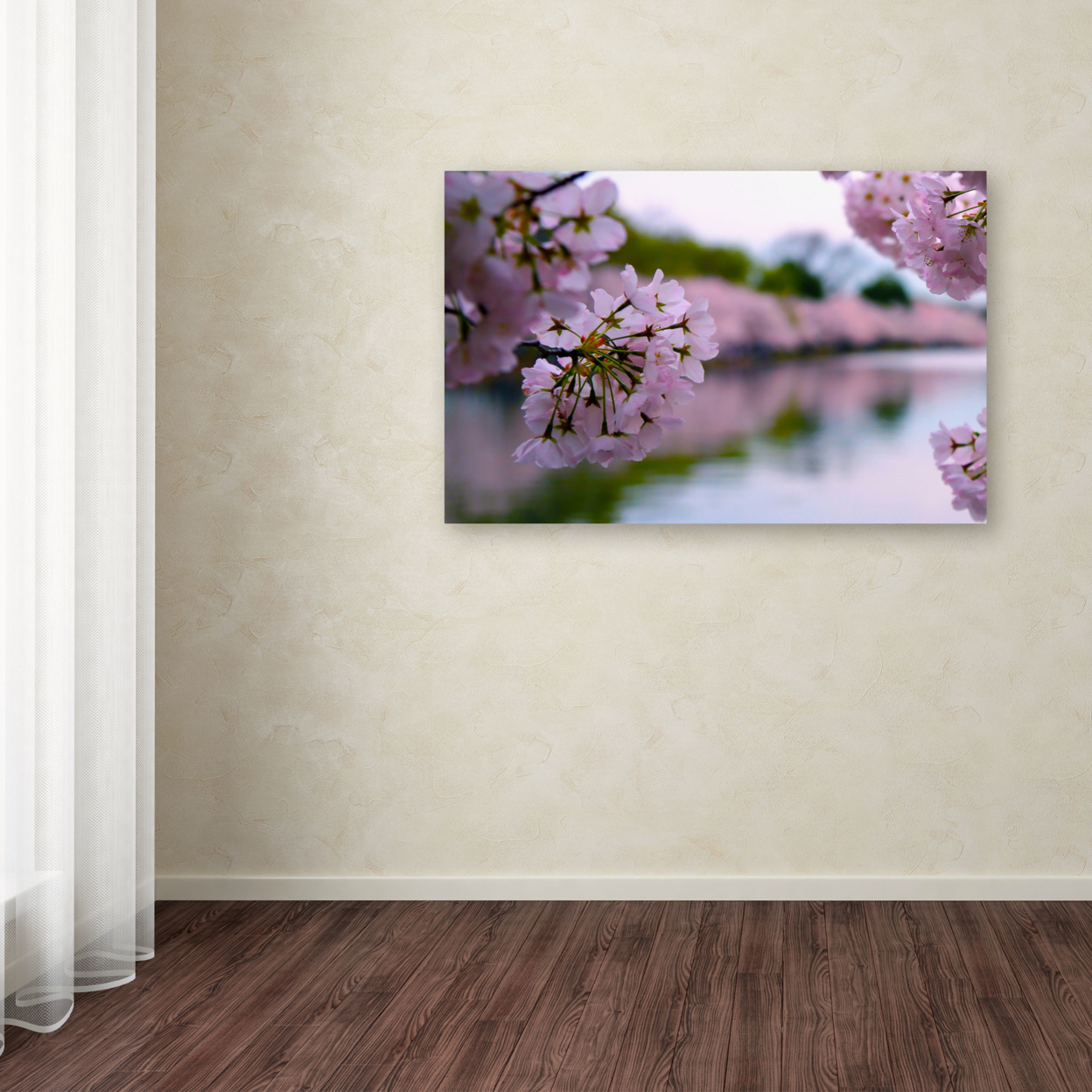 CATeyes 'Cherry Blossoms 2014-2' Canvas Art 16 X 24