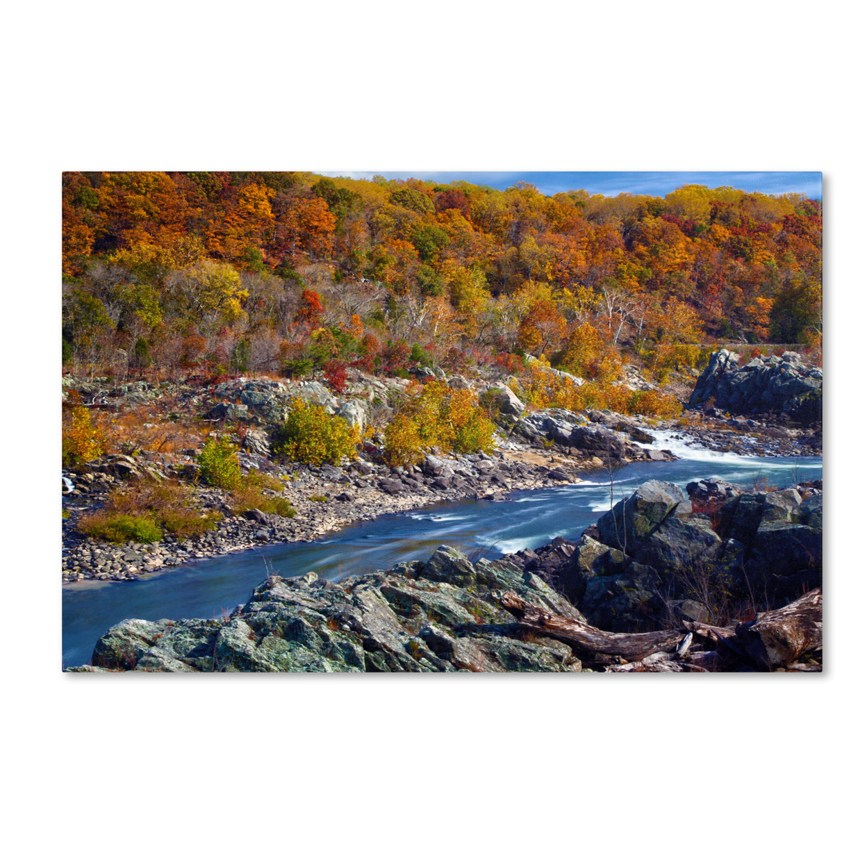 CATeyes 'Potomac Autumn' Canvas Art 16 X 24