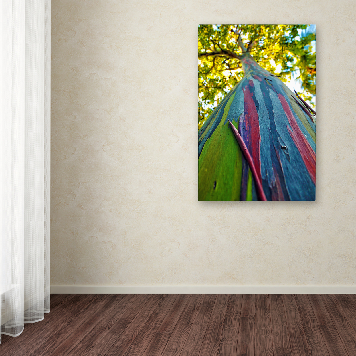 CATeyes 'Rainbow Eucalyptus Tree' Canvas Art 16 X 24