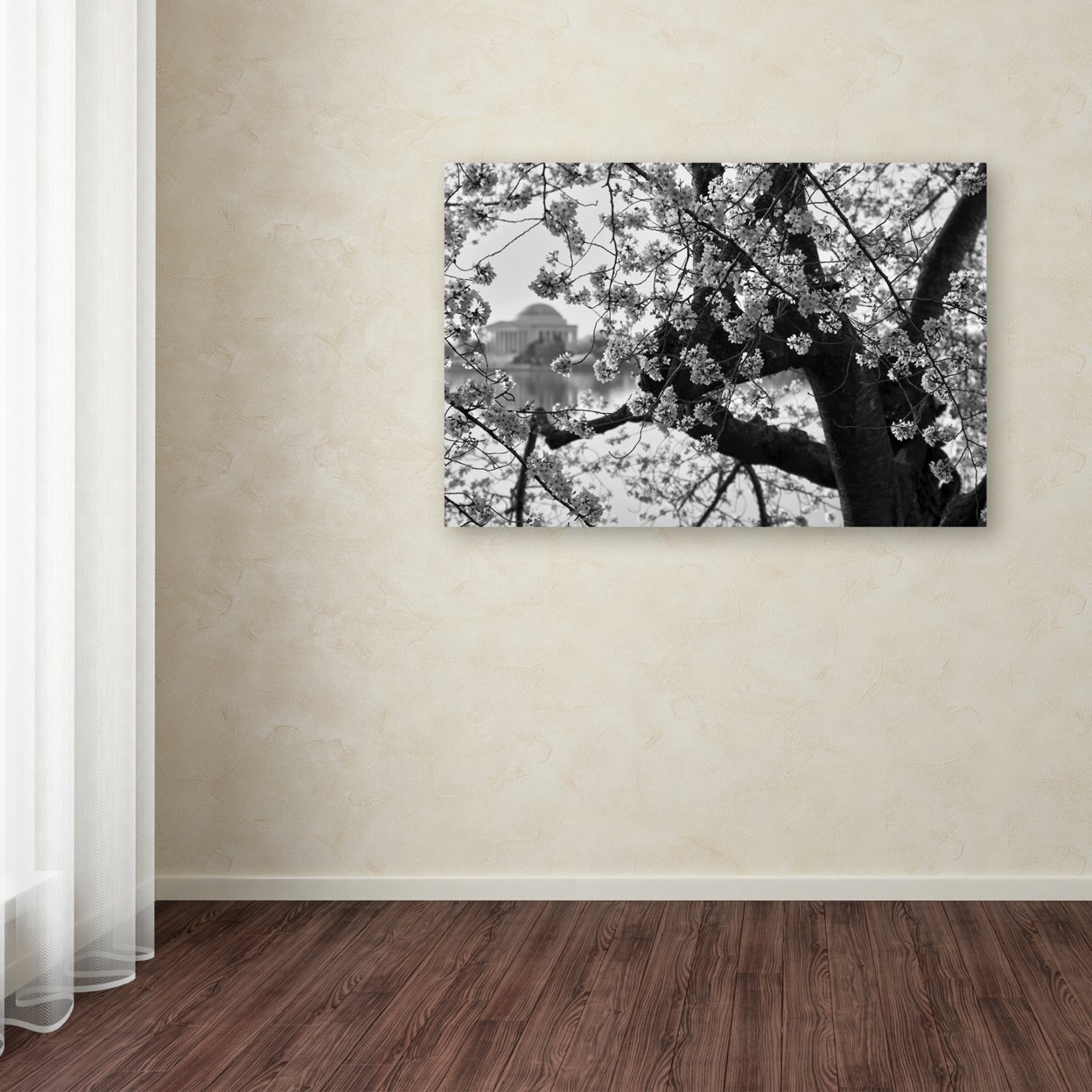 CATeyes 'Blossoms BW' Canvas Art 16 X 24