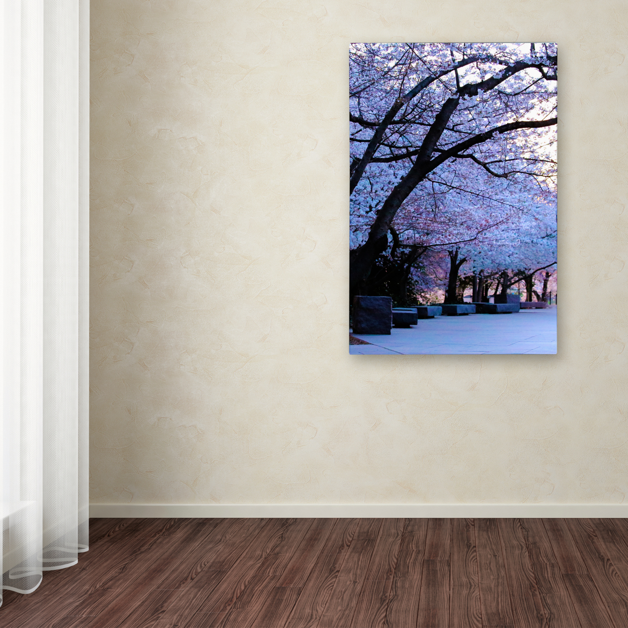 CATeyes 'Cherry Blossom Shade' Canvas Art 16 X 24