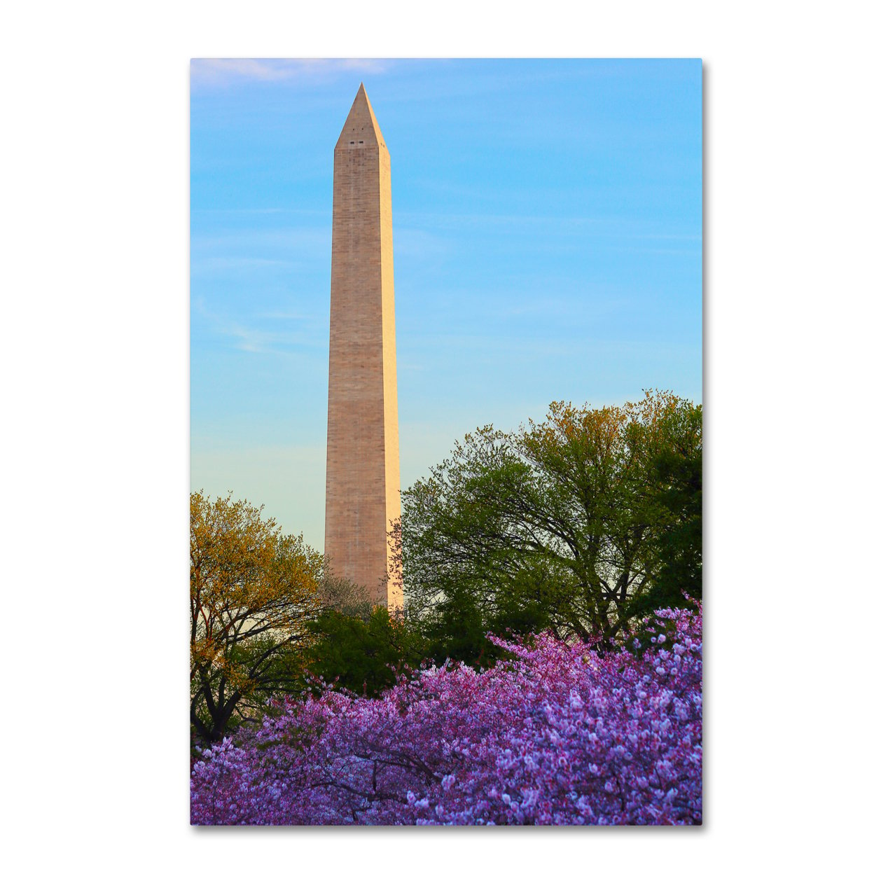CATeyes 'Washington Monument Spring' Canvas Art 16 X 24