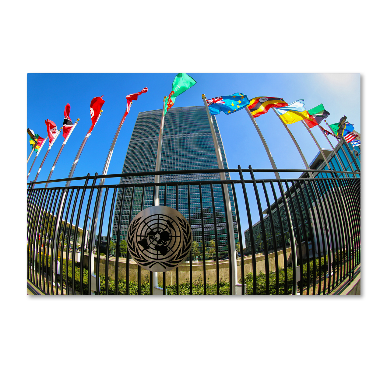 CATeyes 'United Nations 1' Canvas Art 16 X 24
