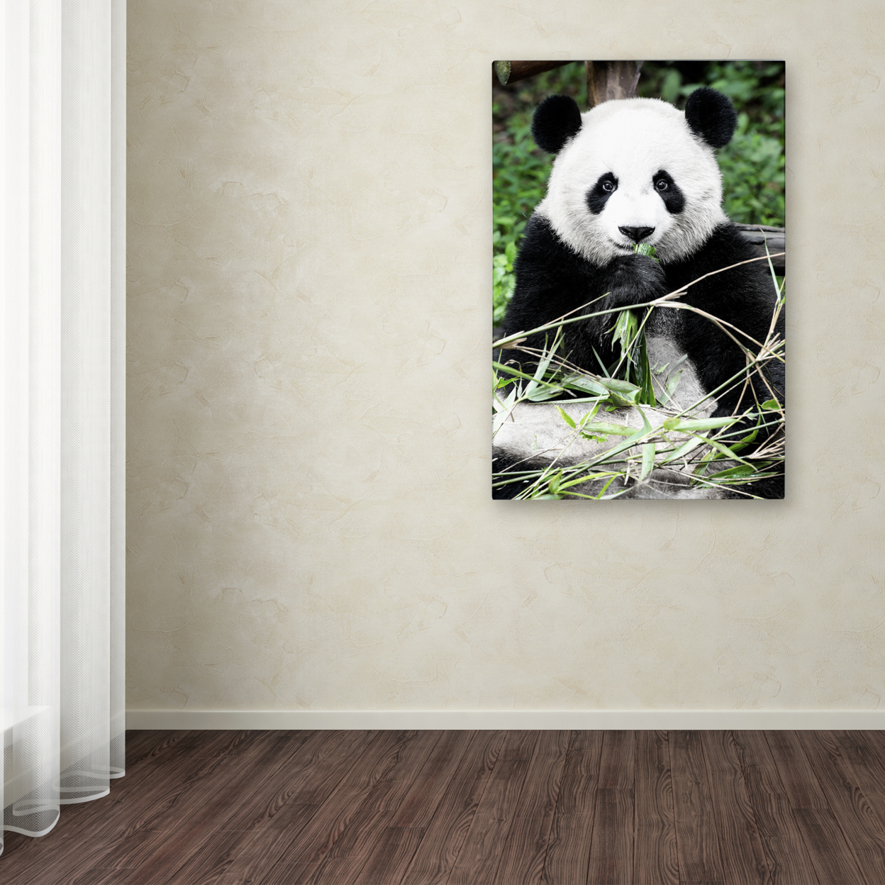 Philippe Hugonnard 'Giant Panda' Canvas Art 16 X 24