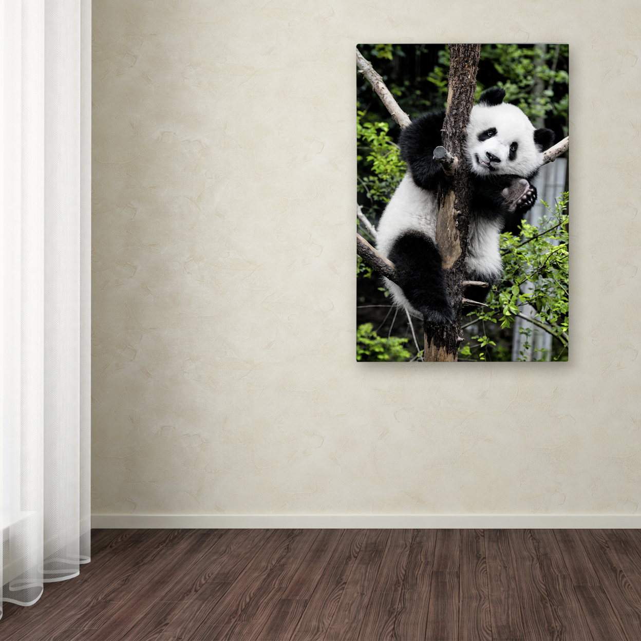 Philippe Hugonnard 'Giant Panda II' Canvas Art 16 X 24