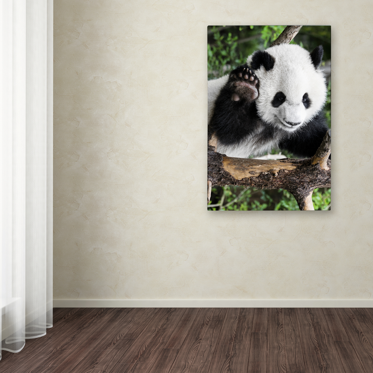 Philippe Hugonnard 'Giant Panda V' Canvas Art 16 X 24