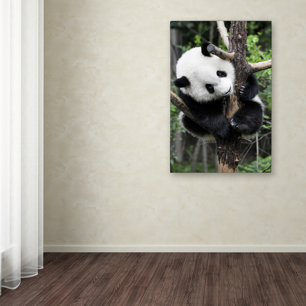 Philippe Hugonnard 'Giant Panda IV' Canvas Art 16 X 24