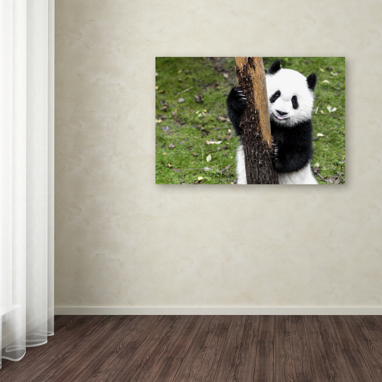 Philippe Hugonnard 'Giant Panda VI' Canvas Art 16 X 24