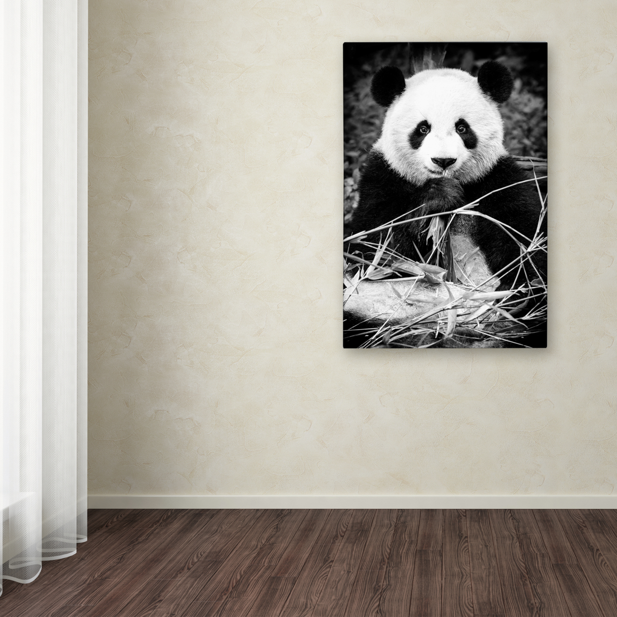 Philippe Hugonnard 'Panda' Canvas Art 16 X 24