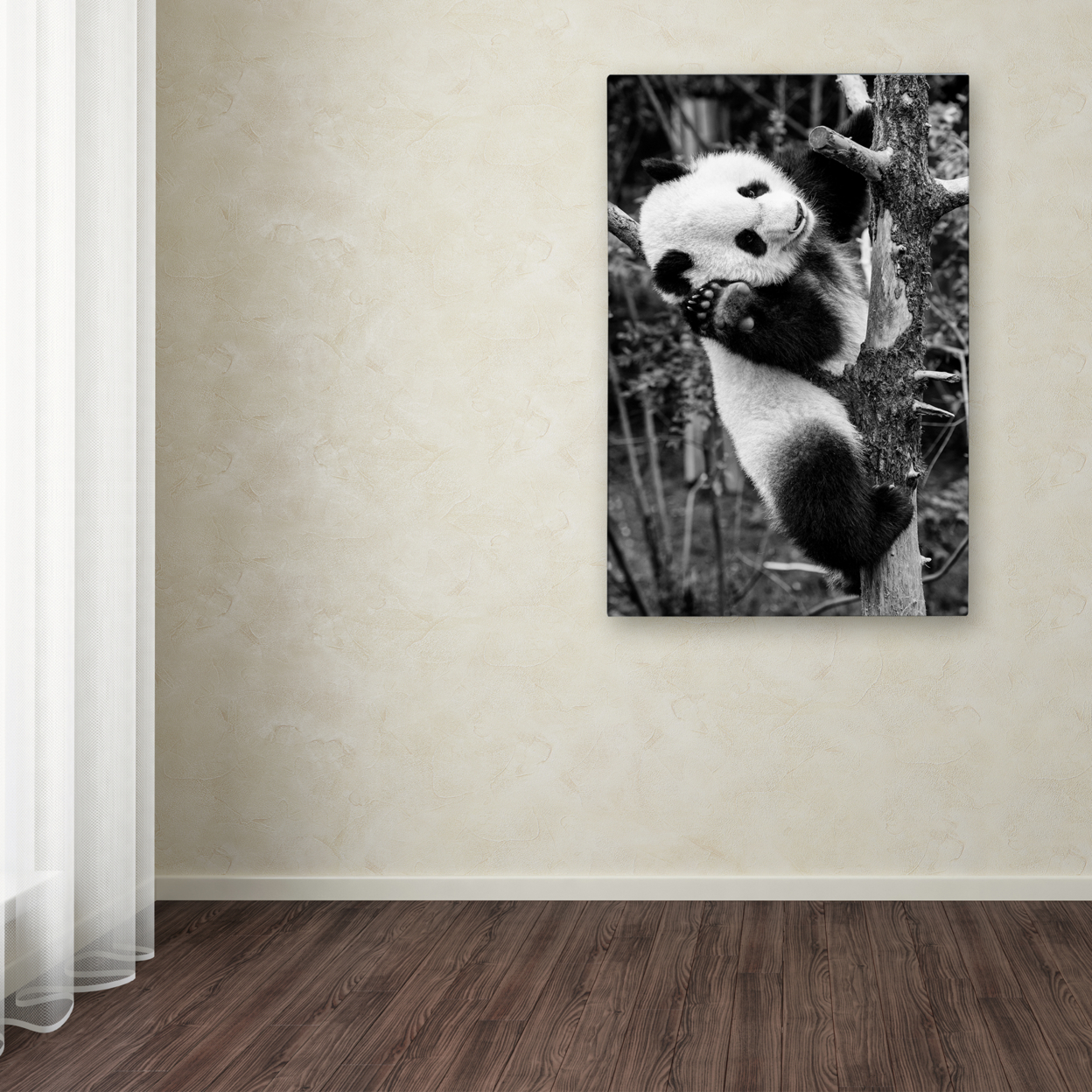 Philippe Hugonnard 'Panda II' Canvas Art 16 X 24