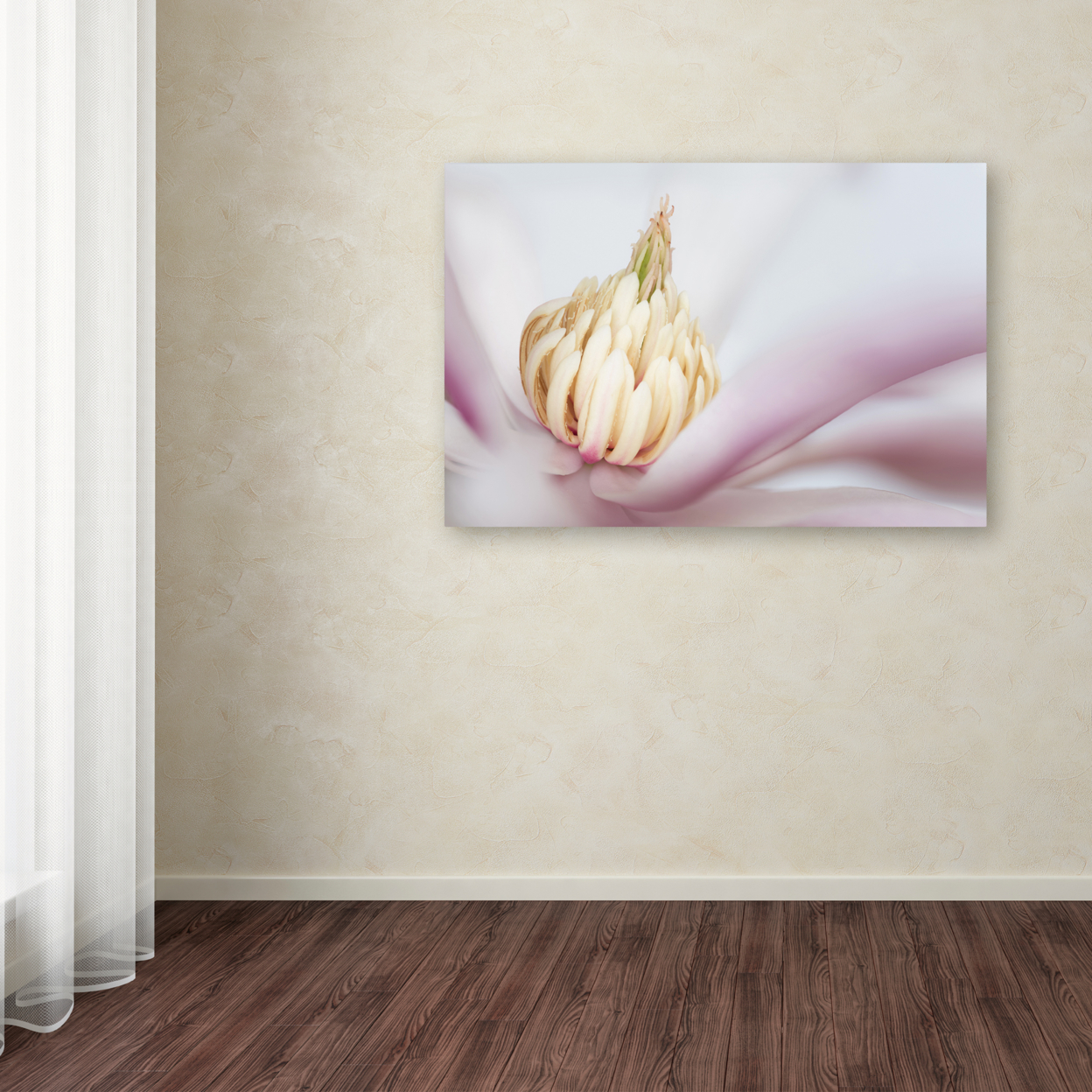 Pierre Leclerc 'Soft Magnolia' Canvas Art 16 X 24
