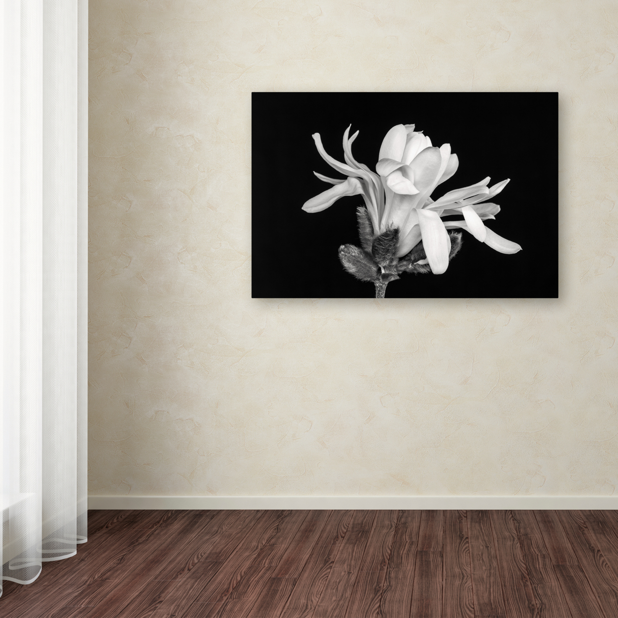Pierre Leclerc 'Magnolia Flower' Canvas Art 16 X 24
