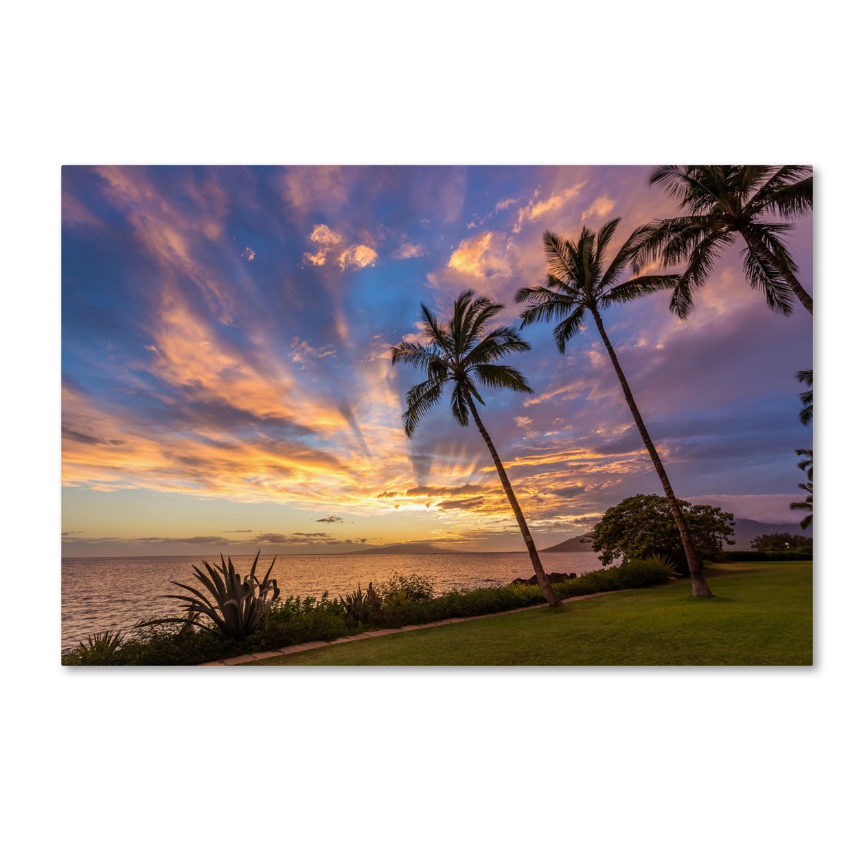 Pierre Leclerc 'Magical Hawaiian Sky' Canvas Art 16 X 24