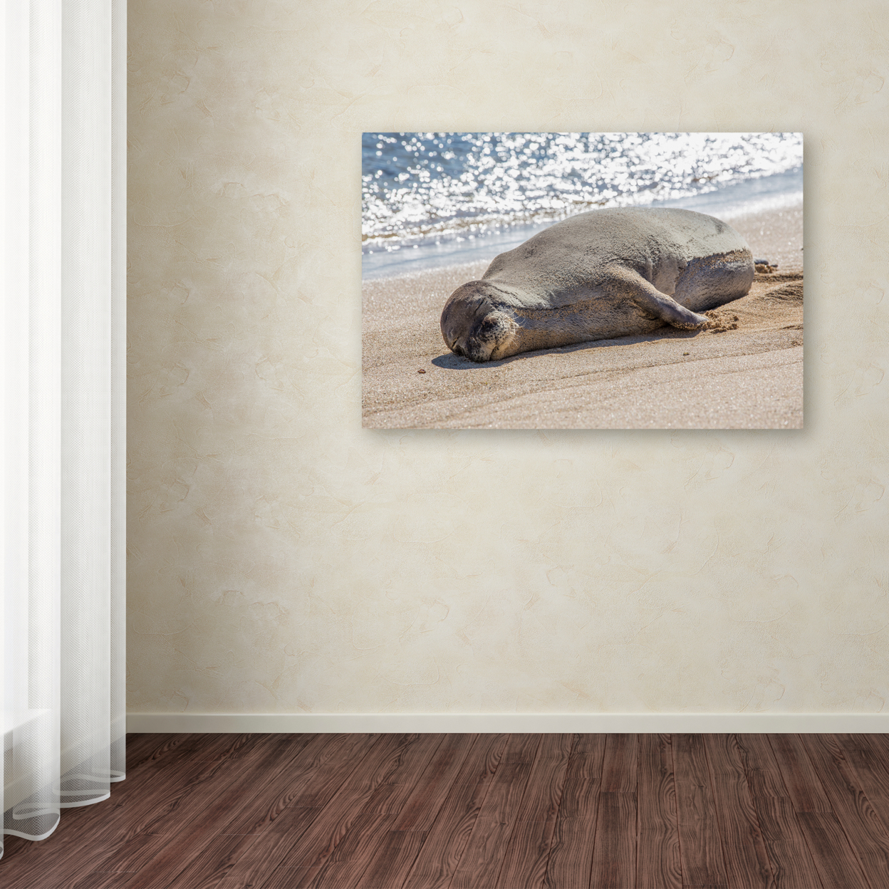 Pierre Leclerc 'Hawaiian Monk Seal' Canvas Art 16 X 24