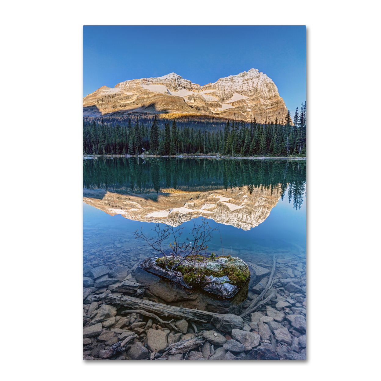 Pierre Leclerc 'Calm O'Hara Lake Sunrise' Canvas Art 16 X 24