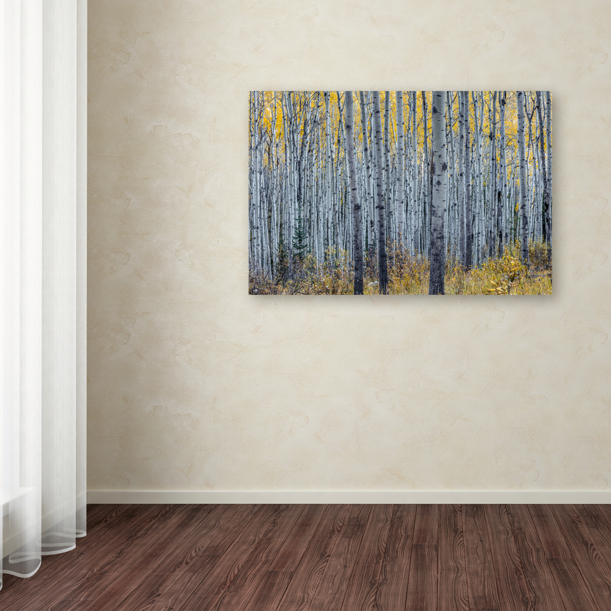 Pierre Leclerc 'Forest Of Aspen Trees' Canvas Art 16 X 24