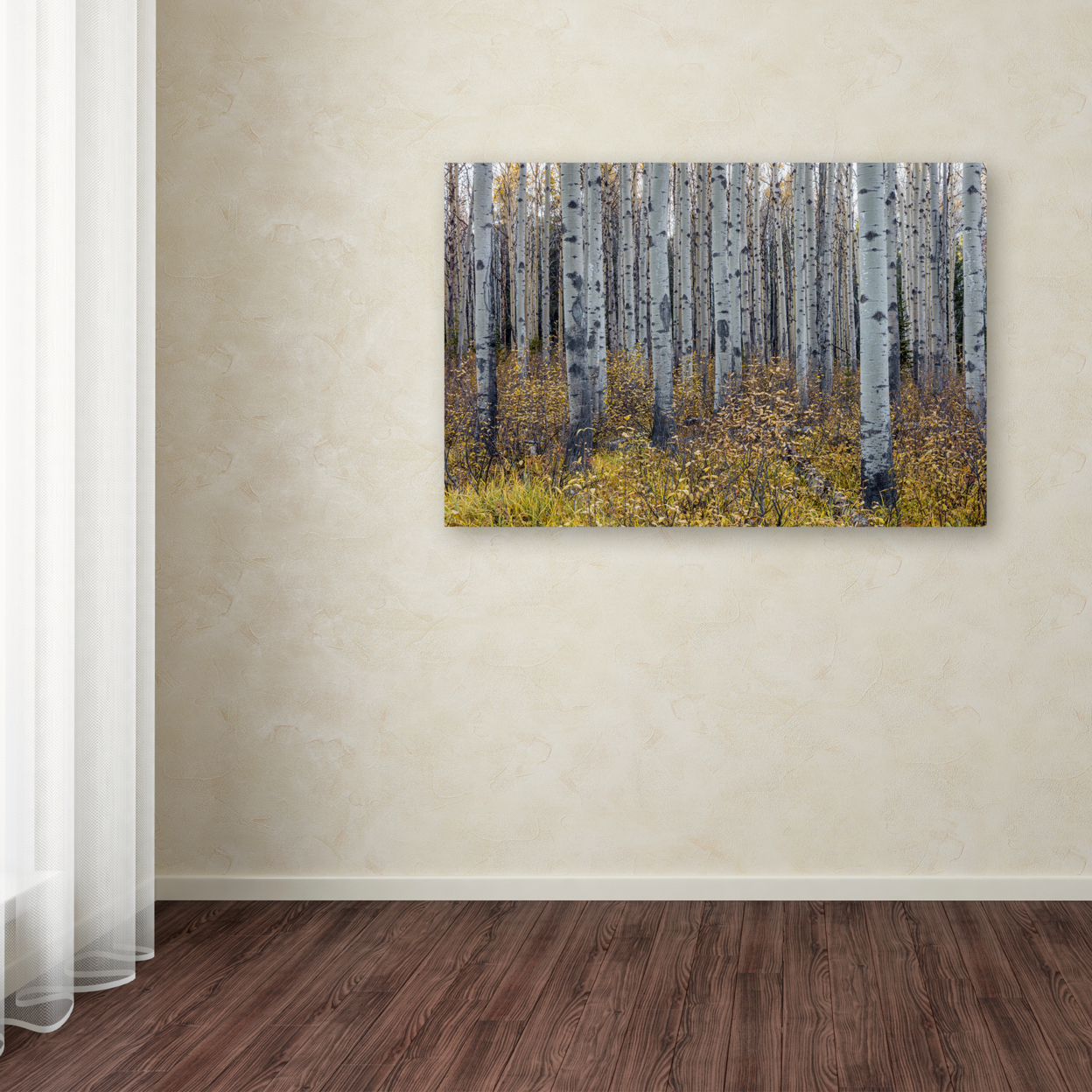 Pierre Leclerc 'Aspen Trees In Autumn' Canvas Art 16 X 24