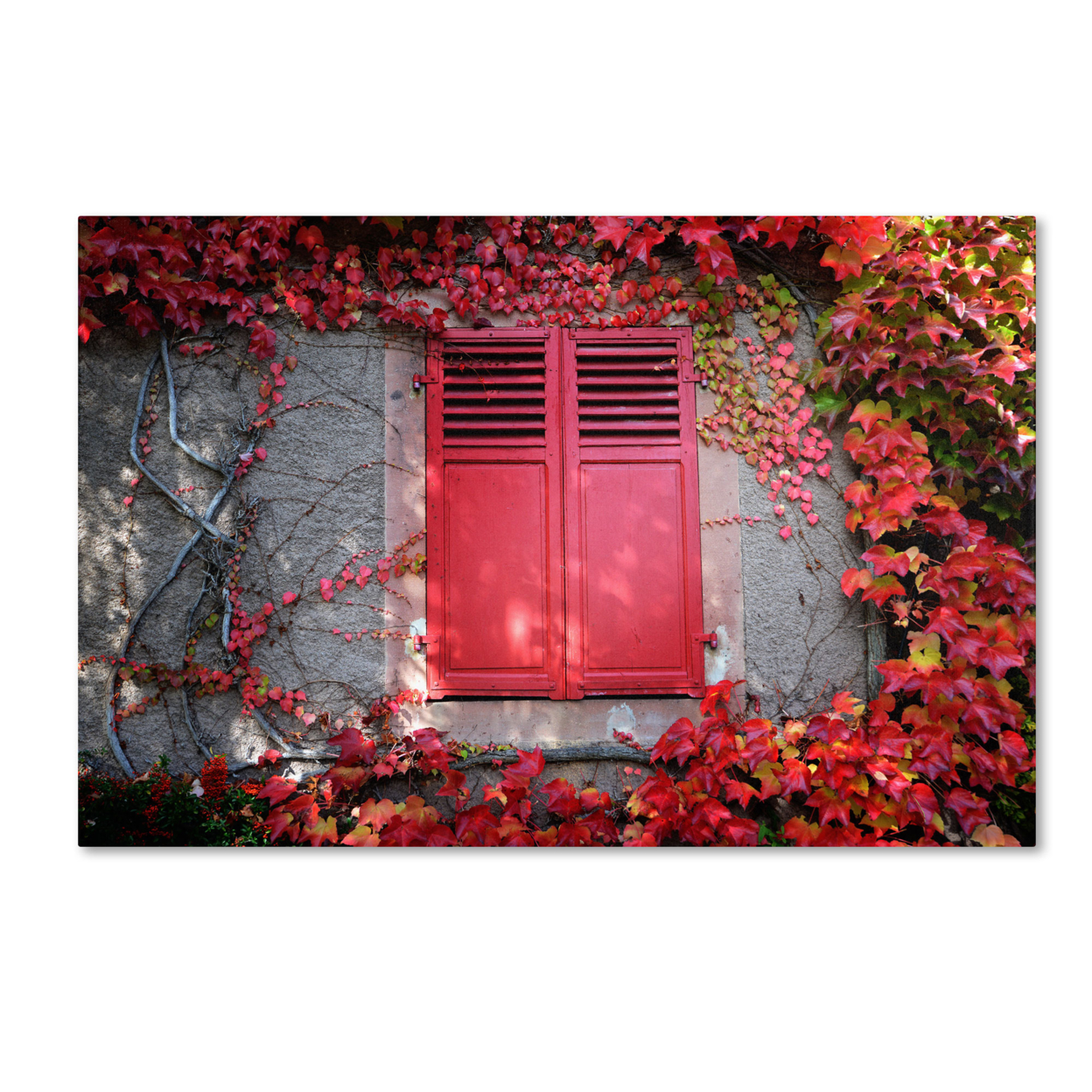 Philippe Sainte-Laudy 'Red Windowpane' Canvas Art 16 X 24