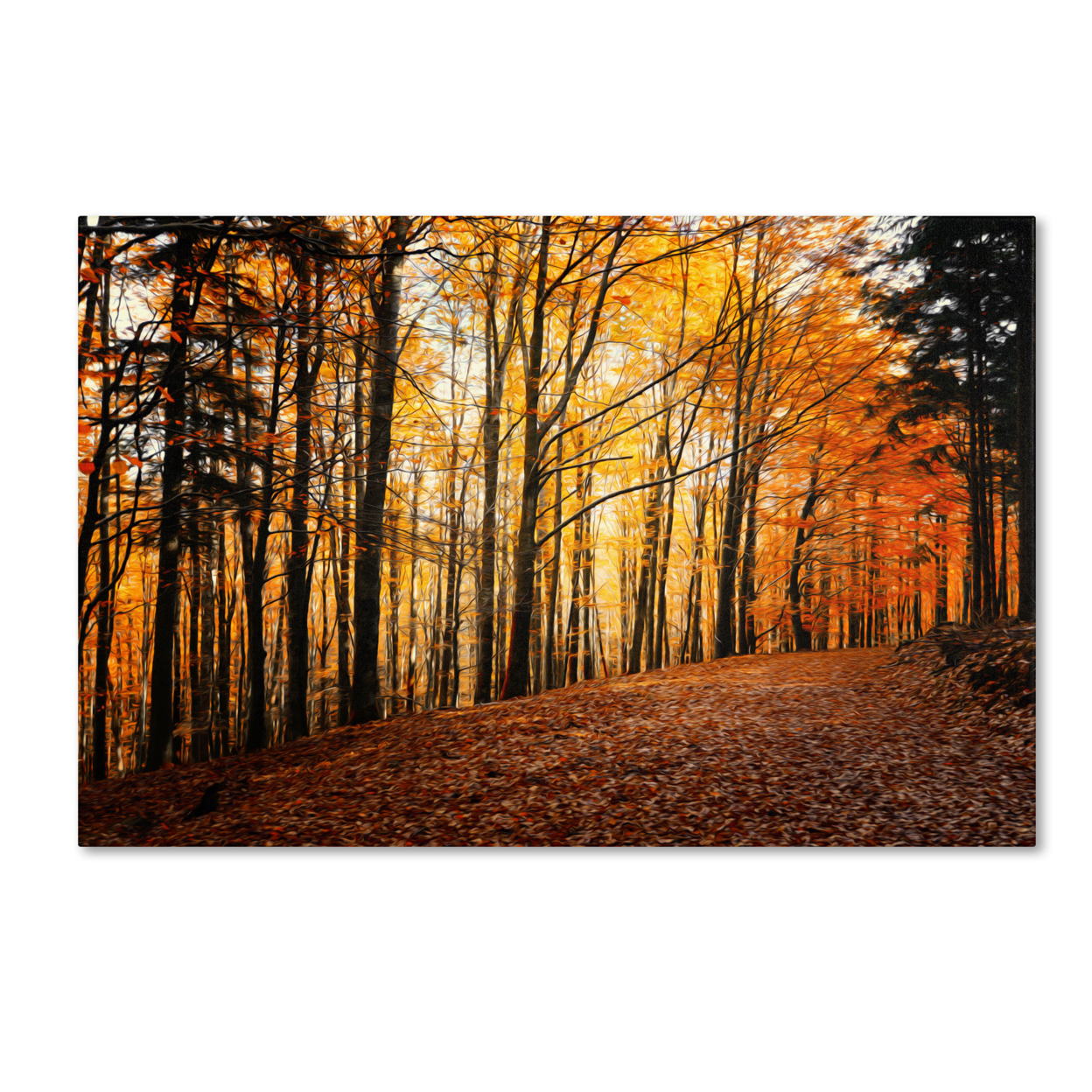 Philippe Sainte-Laudy 'Autumn Leaves Pathway' Canvas Art 16 X 24